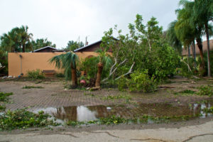 Hurricane recovery help