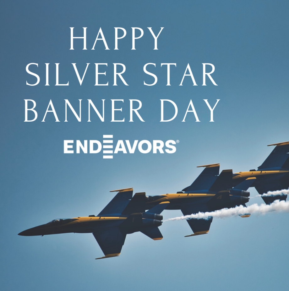 Silver Star Banner Day Graphic